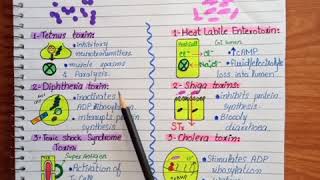 ExotoxinsBacteria exotoxinsExotoxins examples [upl. by Sundberg868]