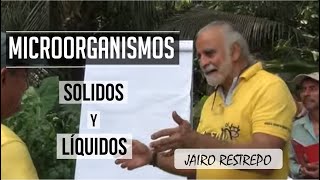 Preparación de Microorganismos del Bosque y bioactivación de microorganismos Jairo Restrepo [upl. by Niknar717]