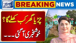 Big News When Will Lahore Zoo Open  Lahore News HD [upl. by Irahcaz]