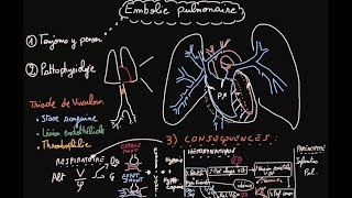 Embolie pulmonaire  Pathophysiologie  Partie 1  Docteur Synapse [upl. by Enamrahs830]