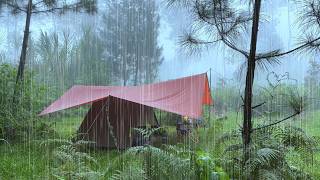 SOLO CAMPING HEAVY RAIN  RELAXING CAMPING WITH RAIN SOUNDS  ASMR [upl. by Marlen267]