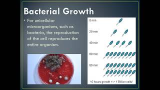 microbial count [upl. by Siraval]