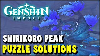 Genshin Impact Shirikoro Peaks Perch Tree ALL PUZZLE SOLUTIONS A particularly particular author [upl. by Seidel854]