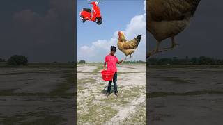 Flying crying babies scooter forg lizard amp parrot catching vs hen 😄 shortsfeed shorts [upl. by Adine]