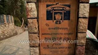 Ashoka Rock Edict of Kalsi Uttarakhand [upl. by Ttevy772]