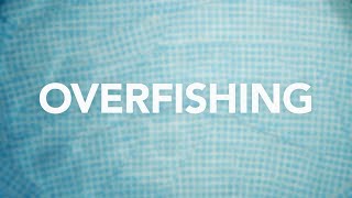 Overfishing [upl. by Belayneh]