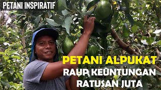 PETANI INSPIRATIF  Sukses Bertani Alpukat [upl. by Eehsar818]