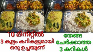 10 മിനിറ്റിൽ 3 കൂട്ടം കറികളുമായി ഉച്ചയൂണ്  Easy 10 Minutes Veg Lunch Malayalam  Easy Lunch Menu [upl. by Mcgaw]