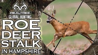 Hunting Roe Deer in Hampshire [upl. by Ervin]