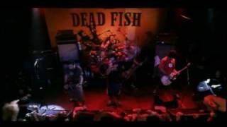 Dead Fish  Queda Livre  MTV Apresenta [upl. by Arah705]