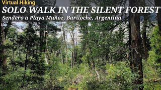 FOREST ALONE Patagonia hiking trail  4K [upl. by Enelav]