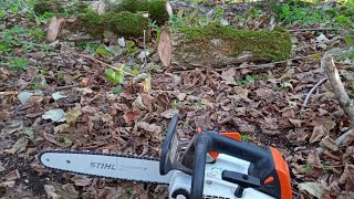 MOTOSEGA STIHL MS 194 T  QUANTO CONSUMA SUL LAVORO 🤠🤠🤠 [upl. by Lelith]