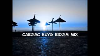 Cardiac Keys Riddim Mix 2013tracks in the description [upl. by Euqinim]