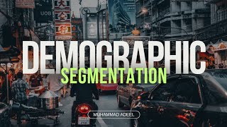 Demographic Segmentation [upl. by Hausmann663]