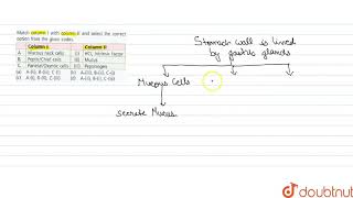 Mathc column I with column II and select the correct option from the given codes [upl. by Alan345]