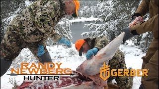 Cutting and Prepping Elk In The Field with Randy Newberg Hunter Part 1 of 3 [upl. by Antonina]