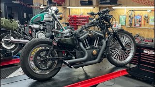 Harley Davidson 883 Iron Sportster with an oil leak from the clutch cable entering the primary cover [upl. by Nnylav236]