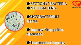 Mycobacterium leprae  Mycobacteria  Microbiology [upl. by Roshan]