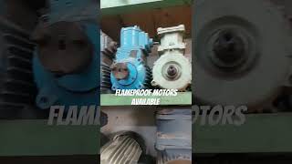 delhi flameproof motor induction copper winding new crompton abb kirloskar pump [upl. by Nevsa]