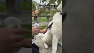 How to use HYSSES FurryCare Deodorising Spray [upl. by Cleavland]