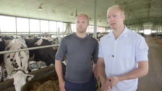 Lely Dairy XL  Schouten Farm  EN [upl. by Suiradel]