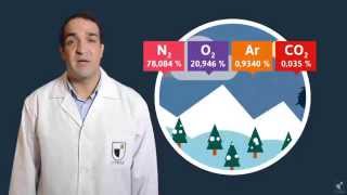 Química Ley de las presiones parciales de Dalton  Traful UtemVirtual [upl. by Catt]