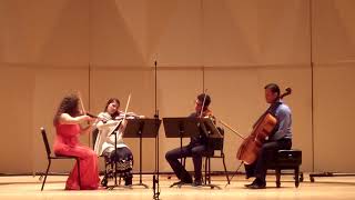 J Haydn  Emperor String Quartet 2nd movement [upl. by Kempe]