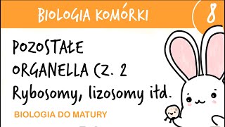 Cytologia 8  Pozostałe organella cz2 Rybosomy peroksysomy lizosomy glioksysomy wakuole [upl. by Branscum]