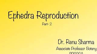 Ephedra Reproduction Part2  Dr Renu Sharma [upl. by Ylirama499]