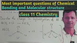 Most important question of Chemical Bonding and Molecular Structure  class 11 chemistry chemistry [upl. by Lamrej194]