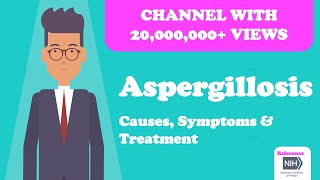 Aspergillosis  Causes Symptoms amp Treatment [upl. by Summons]