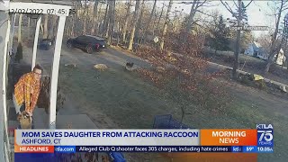 Video shows raccoon attacking girl on her front porch [upl. by Fagin126]