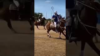 EXRACEHORSES PLAYING POLOCROSSE‼️ 💯🐴🥍 streamhorsetv horse polocrosse sports lacrosse shorts [upl. by Joshi]