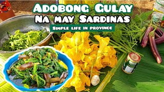 Ep502024  Adobong Gulay na may Sardinas  Simple Life in Province [upl. by Hanan]