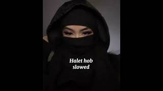 Halet Hob Elissa slowed reverb [upl. by Gnos]