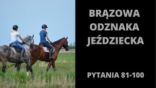 Brązowa odznaka jeździecka  pytania i odpowiedzi 81100 2024 [upl. by Ibbed]