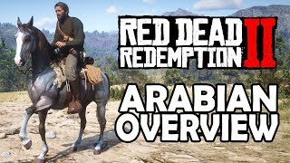 Arabian Overview  Red Dead Redemption 2 Horses [upl. by Trela]