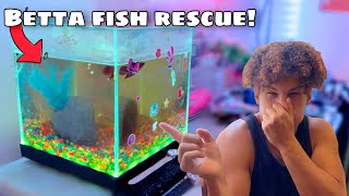 I Rescued BETTA FISH From NASTY Aquarium [upl. by Anaujnas]