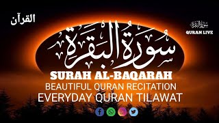 Surah AlBaqarah The Chapter of Guidance and Mercy  Everyday Quran Tilawat  Episode2 [upl. by Auqinehs643]