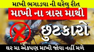 માખીના ત્રાસમાંથી છુટકારો  ૨ જ મીનીટમા માખી ઘરમાંથી બહાર નીકળી જશે  House Fly Removal Tips [upl. by Campman243]