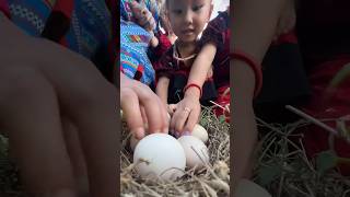 Single mom with boil chicken eggs skills camping singlemom outdoors bushcraft skills [upl. by Hwu]