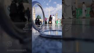 Islamic Viral Naat WhatsApp Status Short video 🥰😘🌷🌹💗 emotional love islamicmusic [upl. by Ferino]