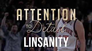 The Legend of LINSANITY Full Breakdown [upl. by Ennaed]