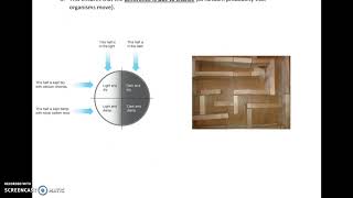 AQA A LEVEL BIOLOGY REQUIRED PRACTICAL 10 ANIMAL MOVEMENT [upl. by Atihcnoc]