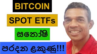 BTC SPOT ETFs ARE ABOUT TO BEAT SATOSHI NAKAMOTO  CRYPTO BULL RUN 2024 [upl. by Yenruoc]