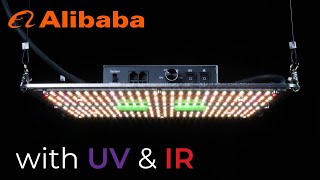 KingBrite 150W Samsung LM301H EVO LED grow light with UV and IR channels [upl. by Fagaly]