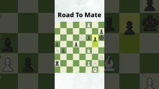 Finding Checkmate  chess [upl. by Enorej]