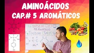 Aminoácidos Aromáticos Explicados [upl. by Yboc]