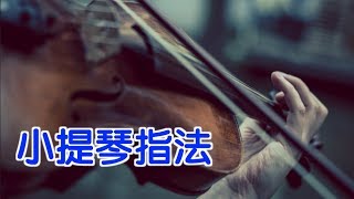 如何练习小提琴指法？小提琴教学Violin Lessons：Proper Violin Finger Placement [upl. by Blackmore]