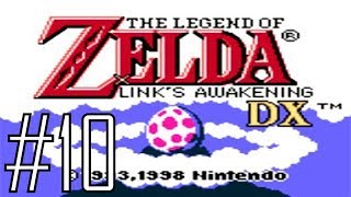 Legend of Zelda Links Awakening DX 10  quotRisk It For The Biscuitquot [upl. by Lleuqram]